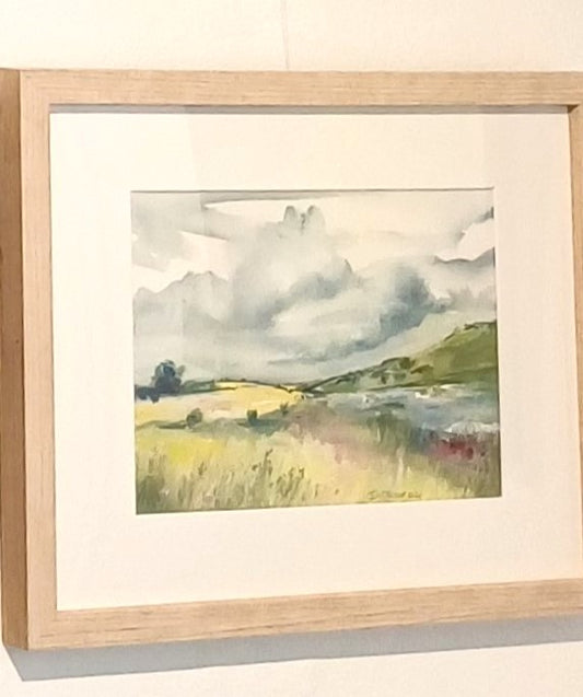 Rapeseed field in Denmark.