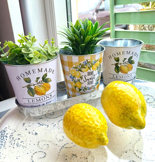 Sæt med 3 blomsterpotter i metal med citron motiv