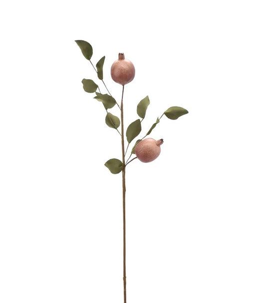 Stilk med stor frøkapsler til dekoration.