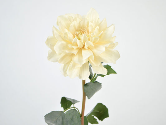 Dahlia stilk, creme silkeblomst