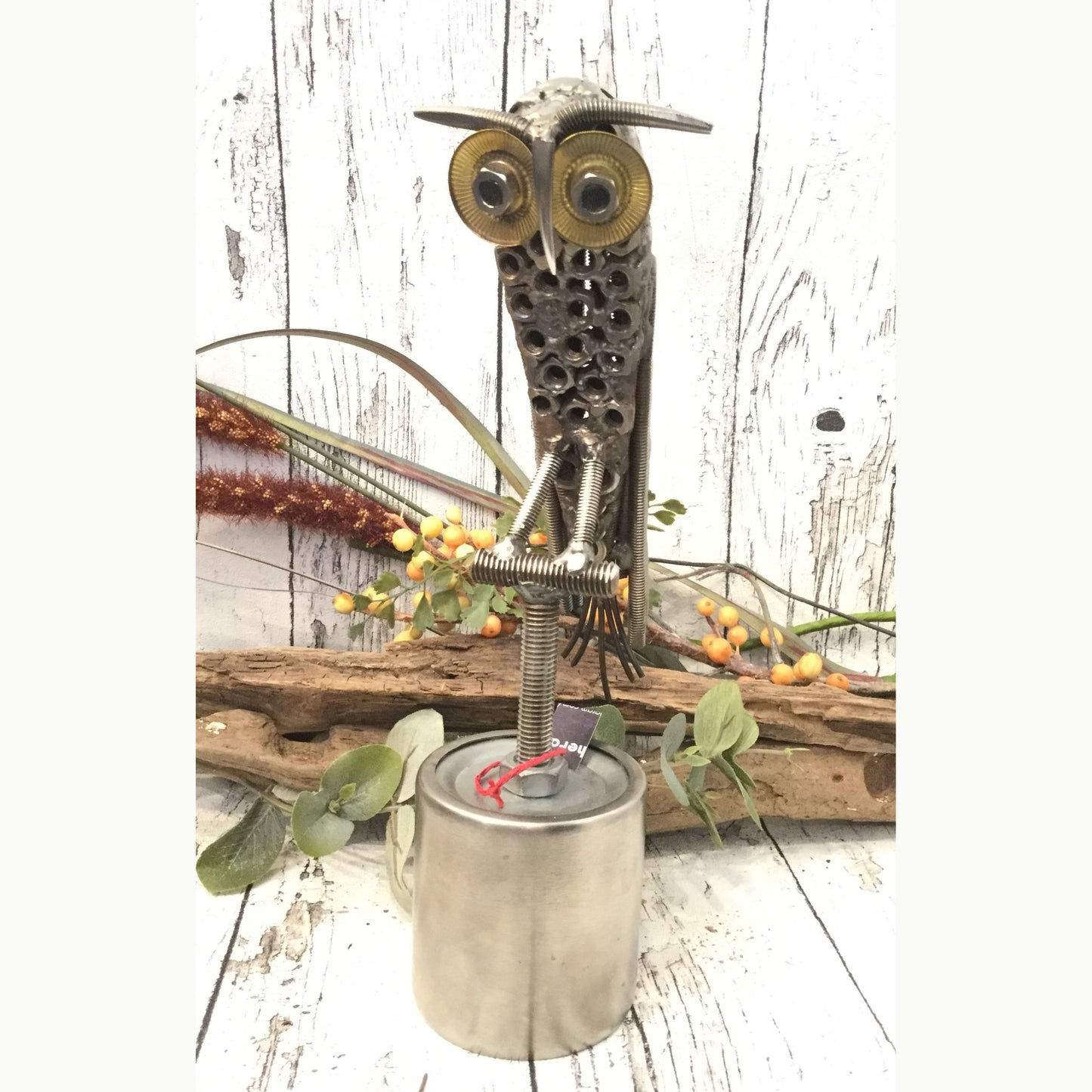 Small Owl
