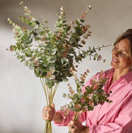 Eucalyptus stilk med store blade.