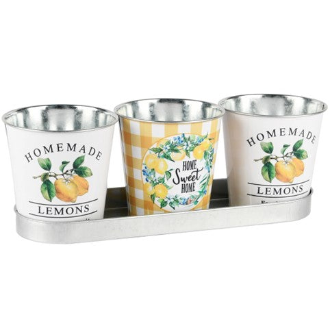 Sæt med 3 blomsterpotter i metal med citron motiv