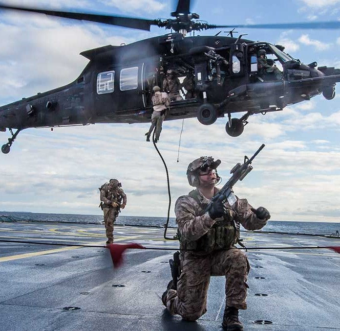 Frogman Royal Danish Navy romblanding.