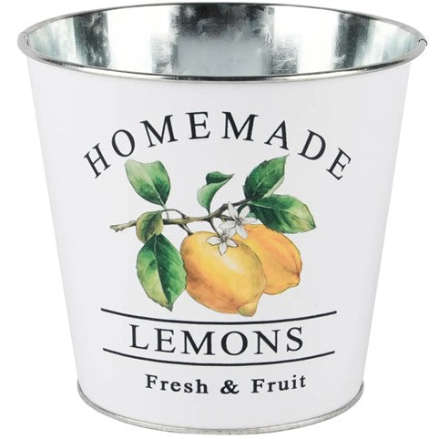 Blomsterpotte med Lemon Love.