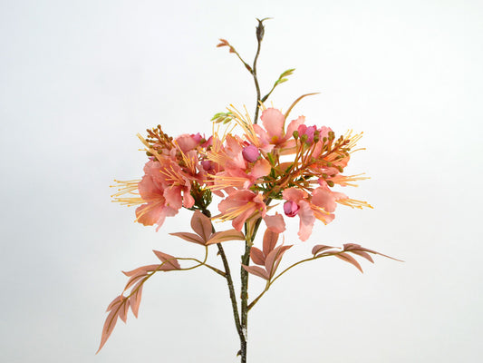 Blomster gren med lyserøde blomster
