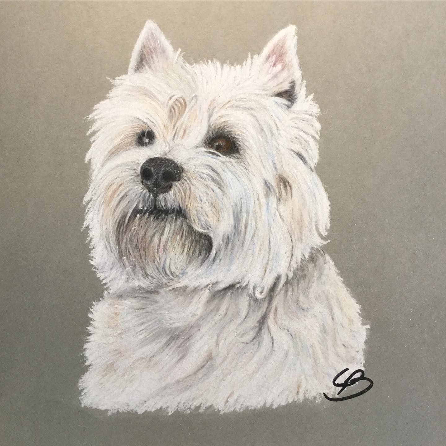 Bestilling af håndtegnet dyreportræt i A4 farver