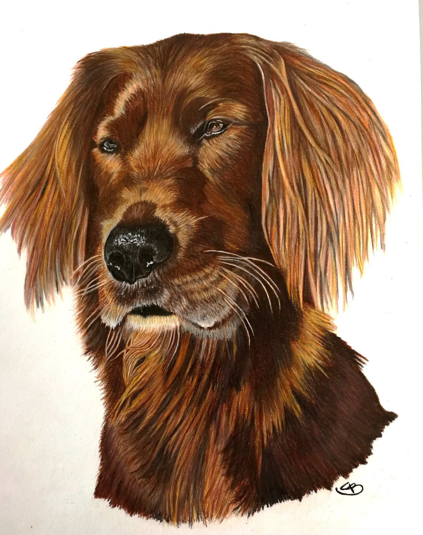 Bestilling af håndtegnet dyreportræt i A3 farver