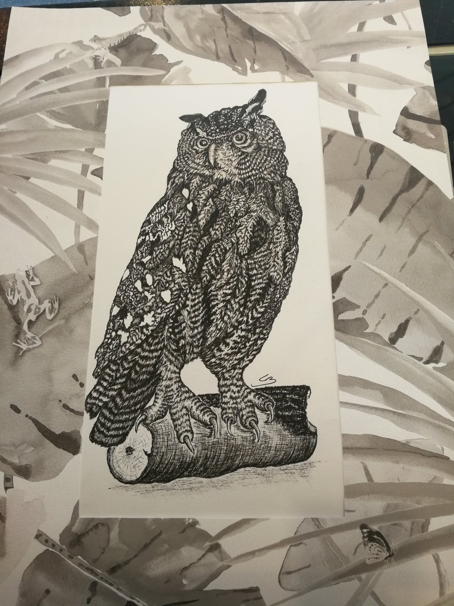 Ugle portræt tegnet i tusch