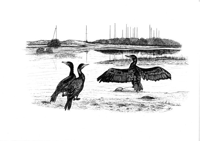 Jagtmotiver original tegninger A3