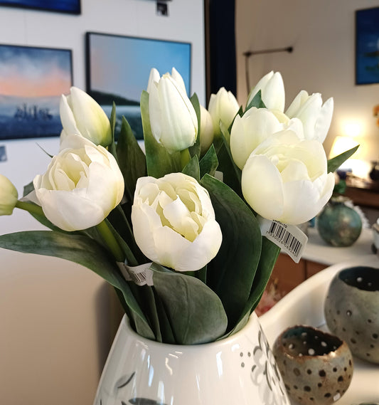 Hvide tulipan stilk.