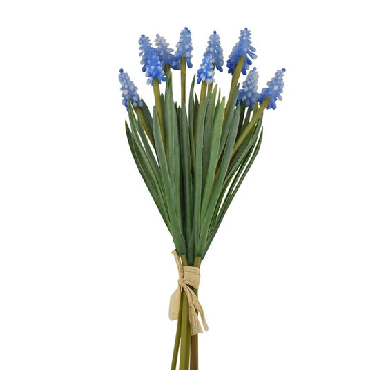 Blå perlehyacint buket.