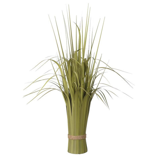 Høj græs / siv plante.