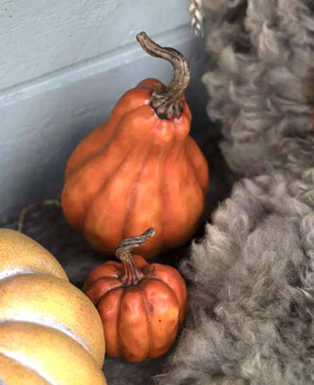 Dekorativt efterårspynt Græskar orange – og til Halloween.