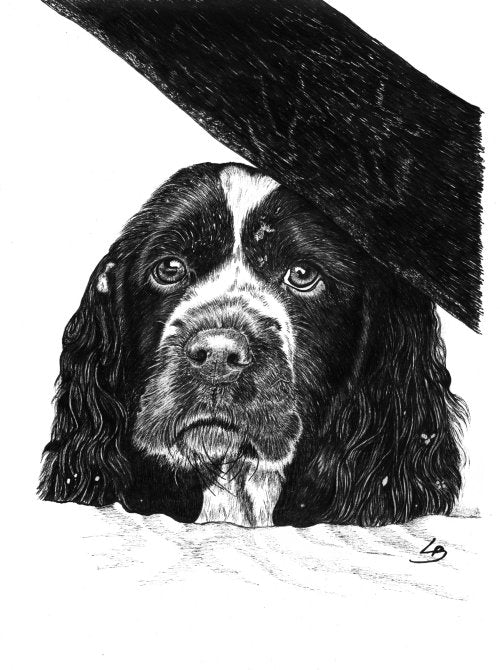 Håndtegnet original hundeportrætter