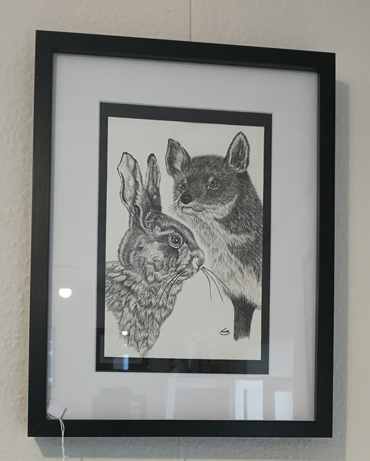 Haren og ræven tegning