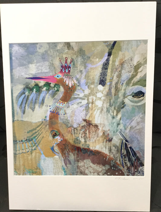 Billede African King Bird